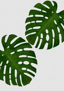 Orara Studio, Monstera Leaf II (United Kingdom, Europe)