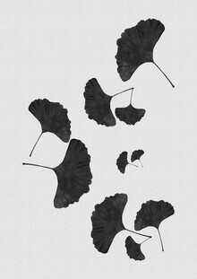 Orara Studio, Ginkgo Leaf Black & White I (United Kingdom, Europe)
