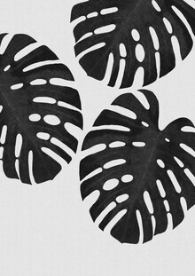 Orara Studio, Monstera Leaf Black & White III (United Kingdom, Europe)