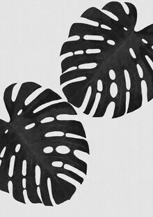 Photo art by Orara Studio: black and white depiction of a monstera leaf.
