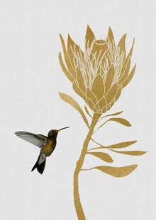 Colorful photo art by Orara Studio: hummingbird in front of a gold flower