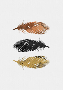 Orara Studio, Feathers (United Kingdom, Europe)