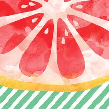 Illustration of grapefruit in soft colors with a tropical feel.