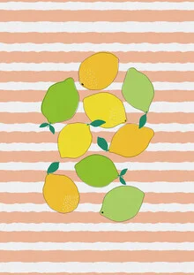 Colorful collection of citrus fruits creating a cheerful kitchen scene.