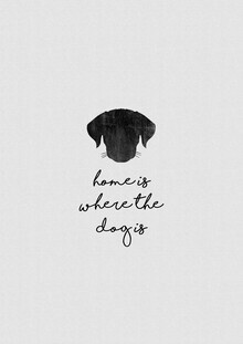 Orara Studio, Home Is Where The Dog Is (United Kingdom, Europe)