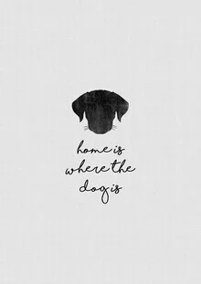 Photo art by Orara Studio: dreamy dog portrait with soft colors