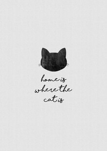 Orara Studio, Home Is Where The Cat Is (Hong Kong, Asia)