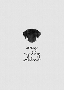 Orara Studio, Sorry My Dog Said No (Hong Kong, Asia)