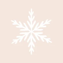 Photo art by Orara Studio: delicate snowflakes on a light background