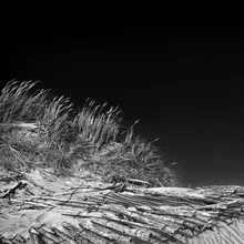Wall art of a dune with beach grass under a clear sky