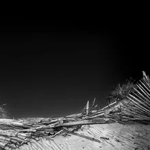 Photo art by Michael Schulz-dostal: gentle dune landscape by the beach