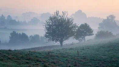 Photo art by Nils Steiner: calm morning fog over a summer landscape