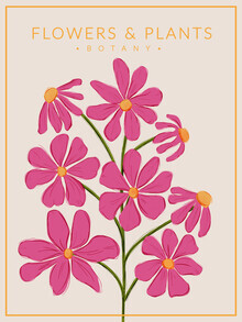 Ania Więcław, Hot Pink Flowers - Botany no1 (Poland, Europe)