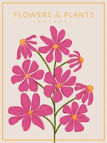 Wall art by Ania Więcław: vibrant pink flowers in a botanical style