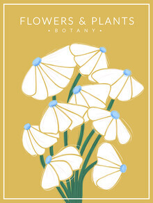 Ania Więcław, White Flowers - Botany no2