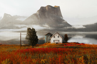 Jonas Hafner, Senja - Norway, Europe)