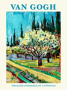 Art Classics, Vincent van Gogh: Von Zypressen gesäumter Obstgarten - Frankreich, Europa)