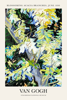 Art Classics, Vincent van Gogh: Blossoming Acacia Branches - France, Europe)