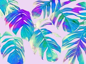 Photo art: Close-up of monstera leaves in soft green tones with hints of pink