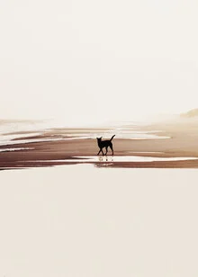 Fotokunst von Thiago Quiuque: sanfte Wellen bei Sonnenlicht am Strand