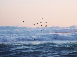 Thiago Quiuque, let the sea set you free - Brasilien, Lateinamerika und die Karibik)