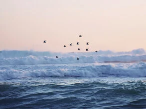 Fotokunst von Thiago Quiuque: Vögel fliegen über ruhige Wellen bei Sonnenuntergang.