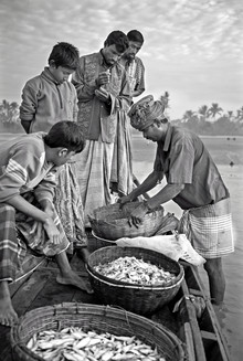 Jakob Berr, Merchant buying fish