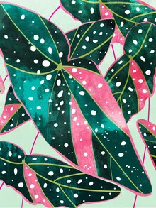 Illustration by Uma Gokhale: tropical plants in soft pink and green tones