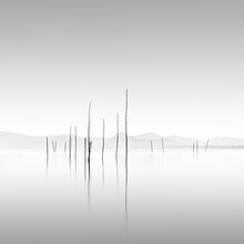 Ronny Behnert, Trasimeno II | Umbrien