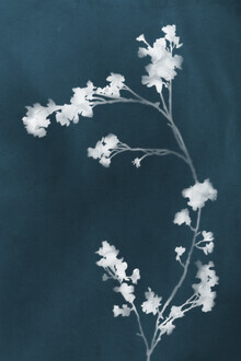 Amini 54, Monograph Blue (Hong Kong, Asien)