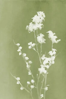 Wandbild von Amini 54: florale Silhouette in sanften Grüntönen