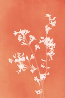 Wandbild mit einer stilvollen Pflanzensilhouette in sanften Orangetönen und Weiß.