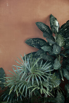 Studio Na.hili, earthy blush meets green tropical jungle (Deutschland, Europa)