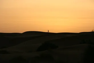 Sunrise in the desert with gentle dunes and a clear sky.