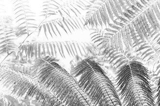 Miro May, Bali Nature