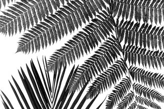 Miro May, Bali leaves
