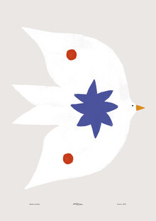 Matías Larraín, Printed wall art with White bird