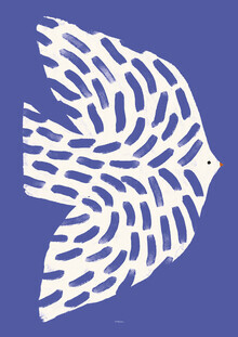 Matías Larraín, Printed wall art with white bird in flight