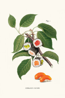 Jonas Loose, Sushi Plant