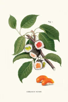 Wall art by Jonas Loose: playful illustration of a sushi plant