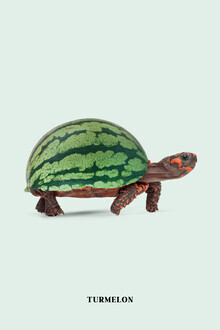 Jonas Loose, Turmelon