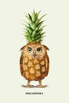 Pineappowl - fotokunst von Jonas Loose