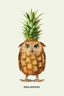 Wandbild von Jonas Loose: humorvolle Eule mit Ananas als Kopf.