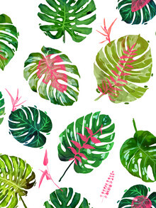 Uma Gokhale, Monstera Love II (Indien, Asien)