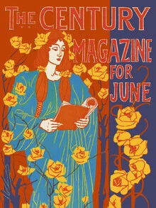 Illustration by Vintage Collection: nostalgic design from the century magazine