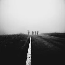 Photo art by Robert Kuavi: fog envelops a calm forest in soft gray tones