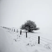 Wintry scene with snow and fog, conveying a thoughtful mood