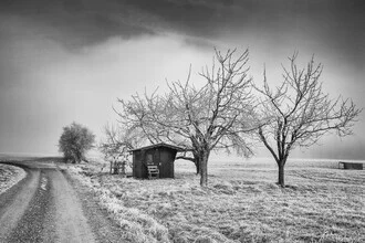 Photo art by Robert Kuavi: winter landscape with frosty details