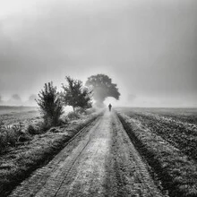 Misty Morning: calm foggy landscape with soft color gradients