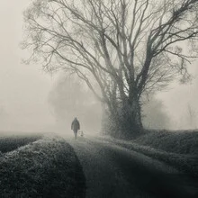 Minimalist photo art by Robert Kuavi: foggy autumn landscape